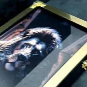Нарды под стеклом «Золотой лев» — необычный подарок — фотография 1